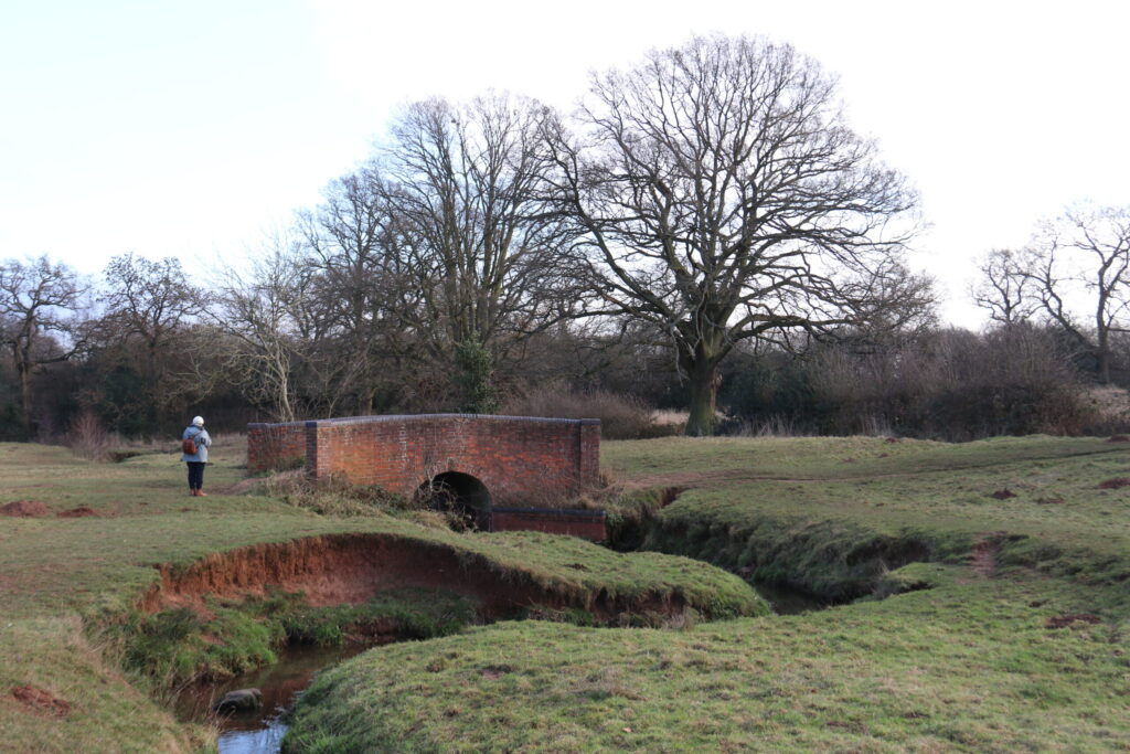 Coundon Wedge