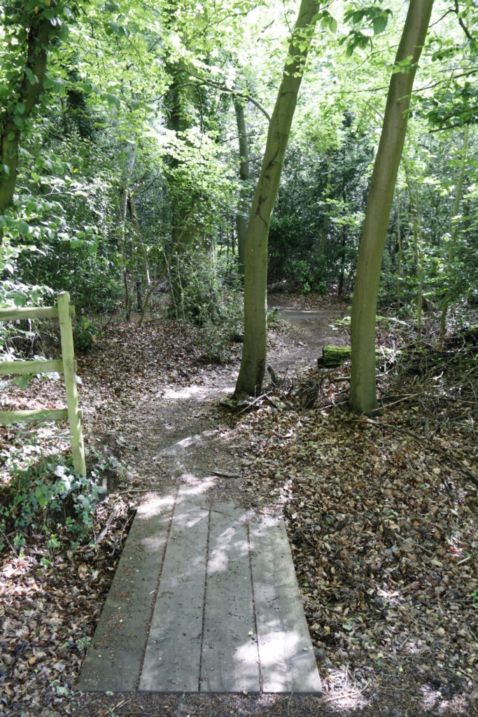 New footpath through the Common