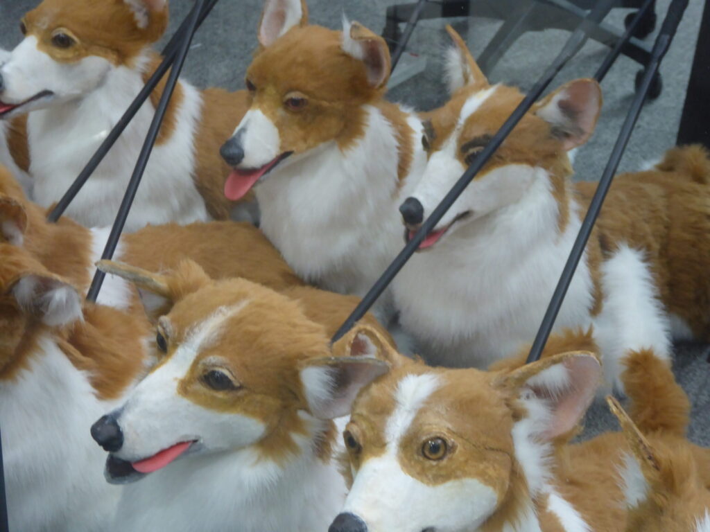 Corgi puppets in the Imagineer building