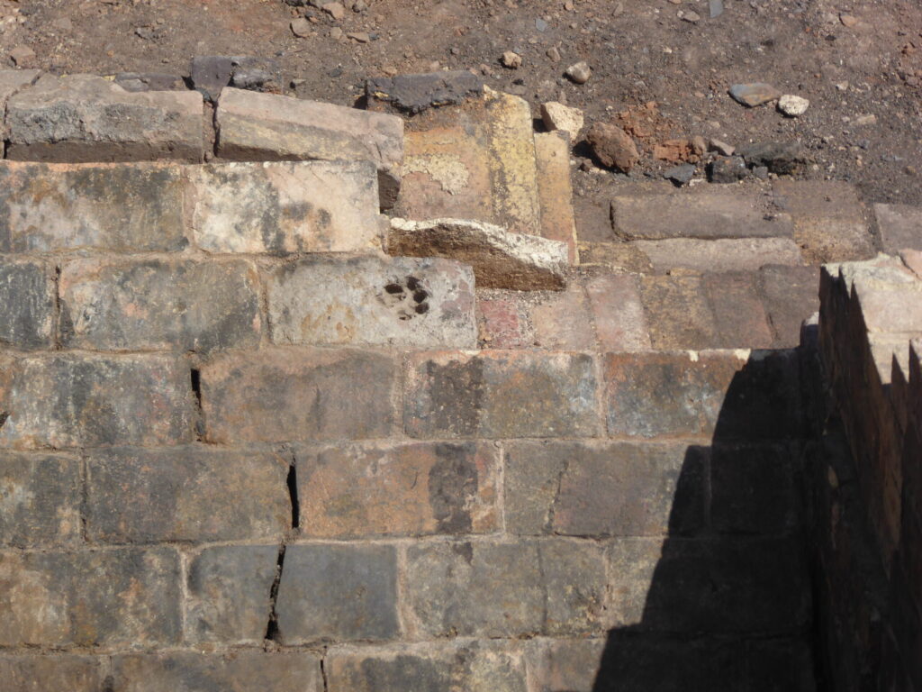 Excavations at the old gas works